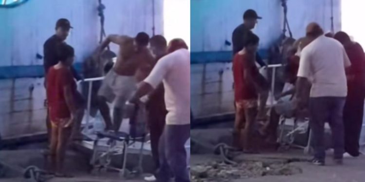 Homem sofre duas picadas de cobra durante trabalho na zona rural de Maués