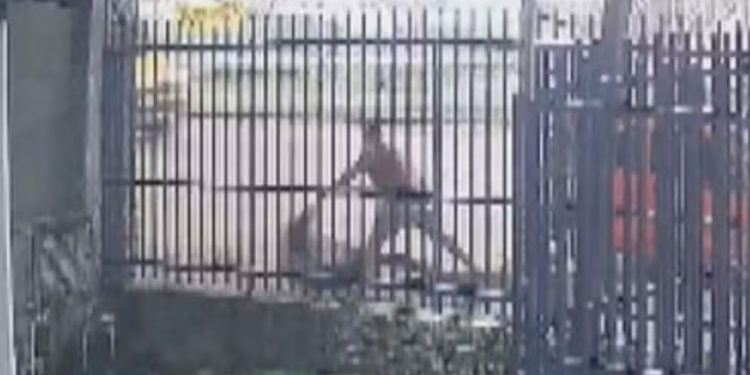 Vídeo: Mulher é arrancada de carro pelos cabelos e agr3dida por motorista de aplicativo