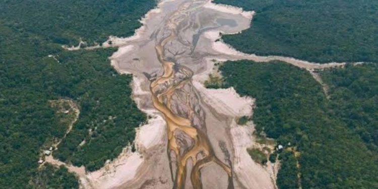 Estiagem faz Rio Negro baixar 3,85 metros em um ano e atingir 18,59 metros em Manaus