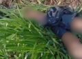 Suspeito de atacar duas jovens é perseguido por moradores e encontrado m0rt0 em ‘buracão’ em Manaus