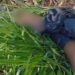 Suspeito de atacar duas jovens é perseguido por moradores e encontrado m0rt0 em ‘buracão’ em Manaus