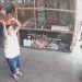 Vídeo: Após tentar ass5ltar mulher, homem com faca invade feira, tenta fazer reféns e é capturado no Japiim